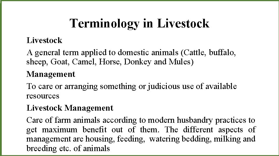 Terminology in Livestock A general term applied to domestic animals (Cattle, buffalo, sheep, Goat,