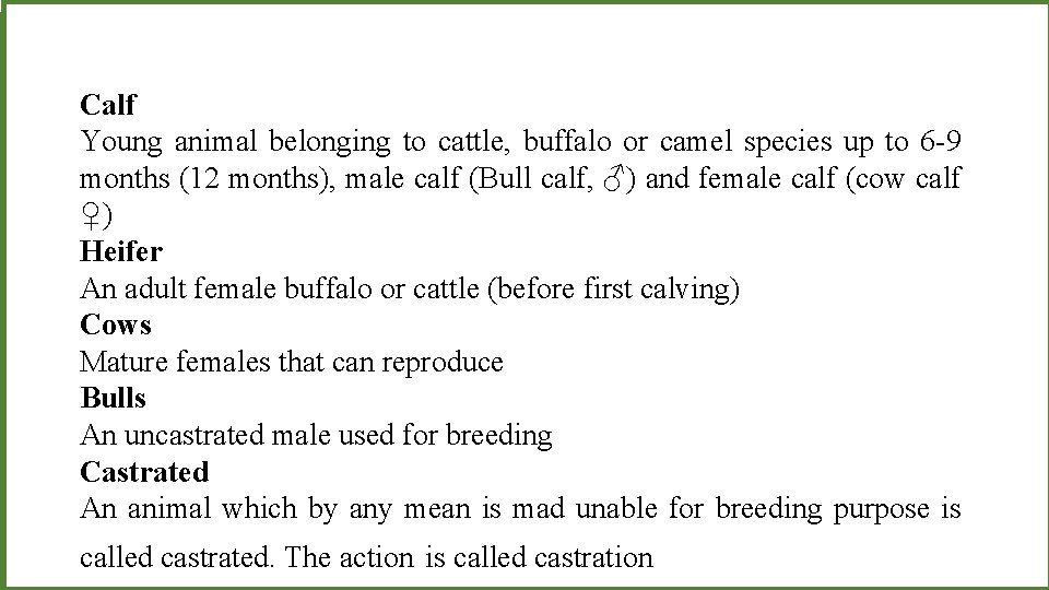 Calf Young animal belonging to cattle, buffalo or camel species up to 6 -9
