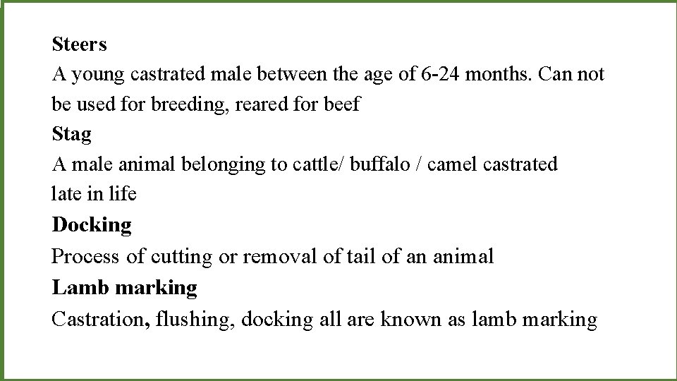 Steers A young castrated male between the age of 6 -24 months. Can not