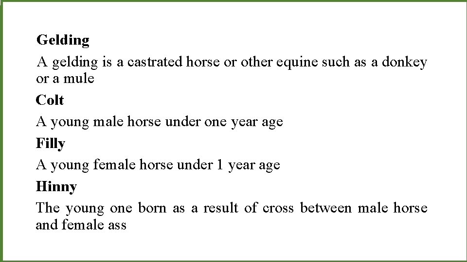 Gelding A gelding is a castrated horse or other equine such as a donkey