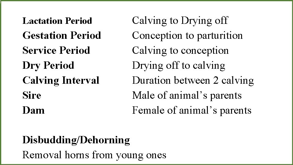 Lactation Period Gestation Period Service Period Dry Period Calving Interval Sire Dam Calving to