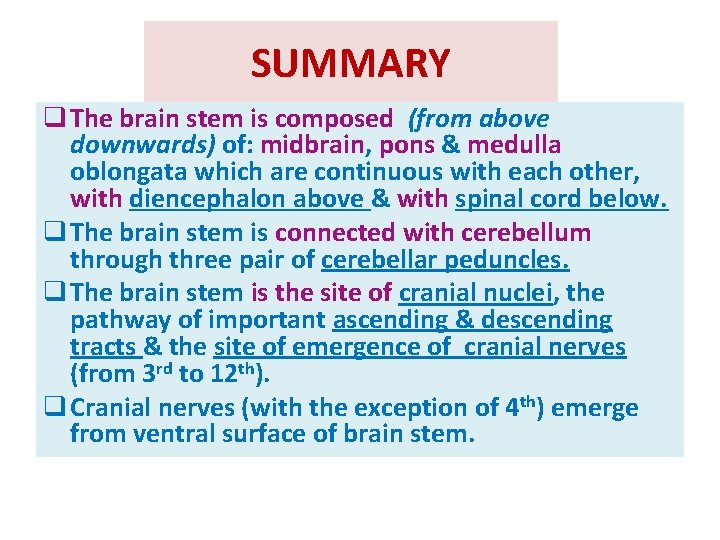 SUMMARY q The brain stem is composed (from above downwards) of: midbrain, pons &