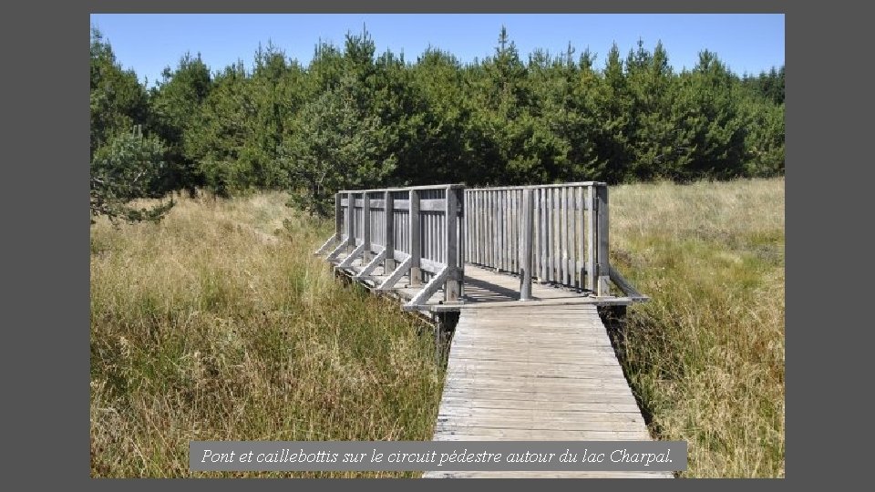 Pont et caillebottis sur le circuit pédestre autour du lac Charpal. 