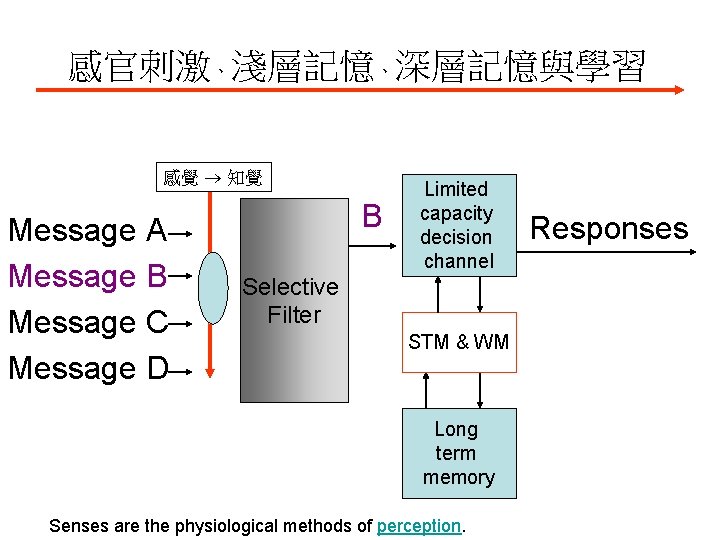 感官刺激、淺層記憶、深層記憶與學習 感覺 知覺 Message A Message B Message C Message D B Limited capacity 感官刺激、淺層記憶、深層記憶與學習 感覺 知覺 Message A Message B Message C Message D B Limited capacity
