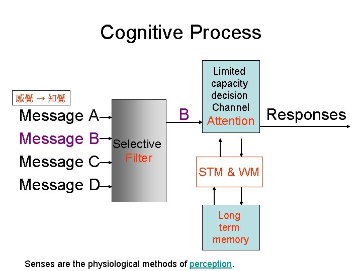 Cognitive Process 感覺 知覺 Message A Message B Message C Message D B Limited