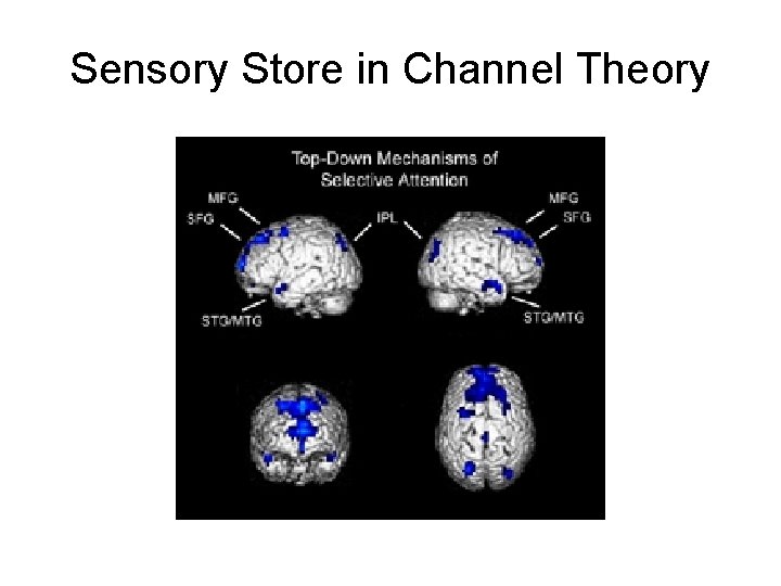 Sensory Store in Channel Theory Sensory Store in Channel Theory