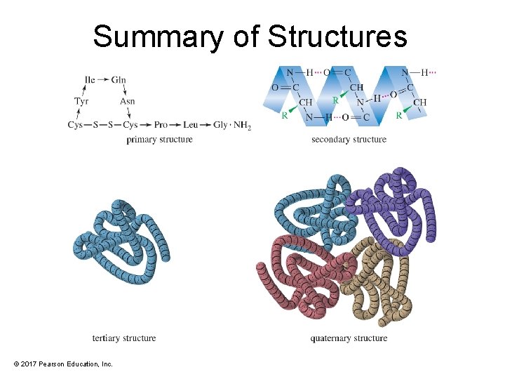 Summary of Structures © 2017 Pearson Education, Inc. 