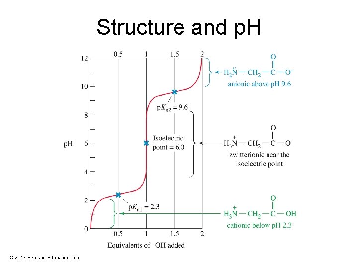 Structure and p. H © 2017 Pearson Education, Inc. 