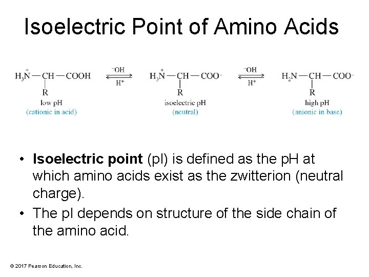 Isoelectric Point of Amino Acids • Isoelectric point (p. I) is defined as the