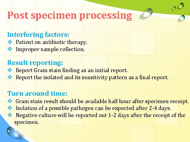 Post specimen processing Interfering factors: v Patient on antibiotic therapy. v Improper sample collection.