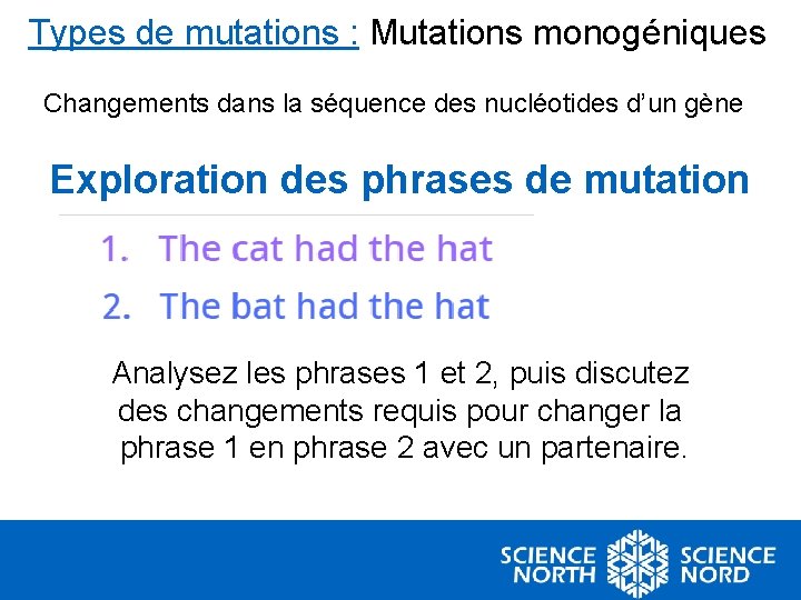 Types de mutations : Mutations monogéniques Changements dans la séquence des nucléotides d’un gène