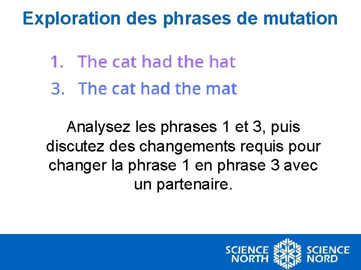 Exploration des phrases de mutation 1. The cat had the hat 3. The cat