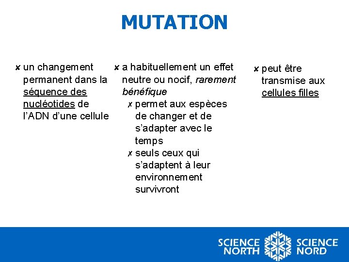 MUTATION ✘ un changement permanent dans la séquence des nucléotides de l’ADN d’une cellule