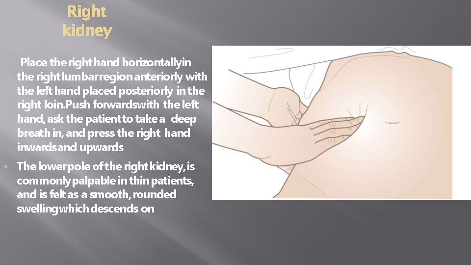 Right kidney Place the right hand horizontallyin the right lumbar region anteriorly with the