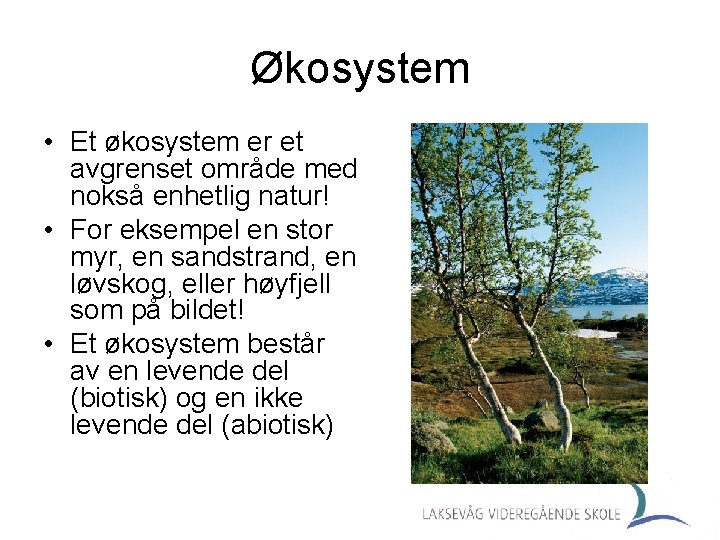 Økosystem • Et økosystem er et avgrenset område med nokså enhetlig natur! • For