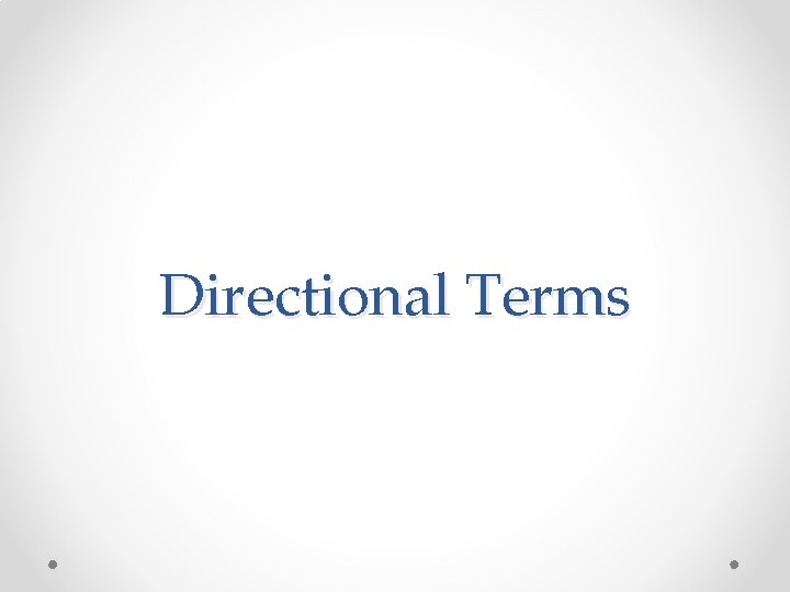 Directional Terms 