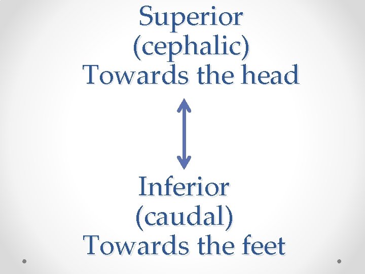 Superior (cephalic) Towards the head Inferior (caudal) Towards the feet 