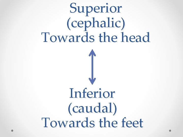 Superior (cephalic) Towards the head Inferior (caudal) Towards the feet 