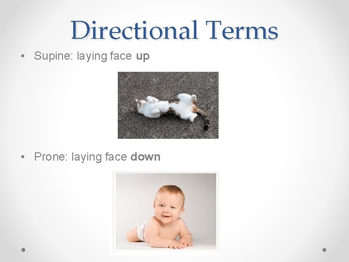 Directional Terms • Supine: laying face up • Prone: laying face down 