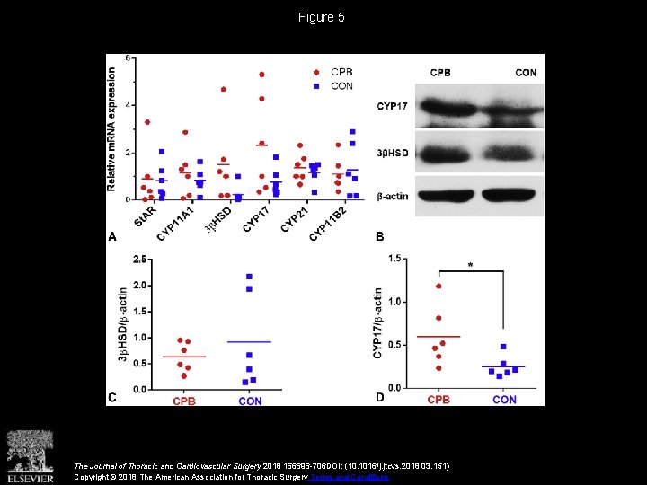 Figure 5 The Journal of Thoracic and Cardiovascular Surgery 2018 156696 -706 DOI: (10.