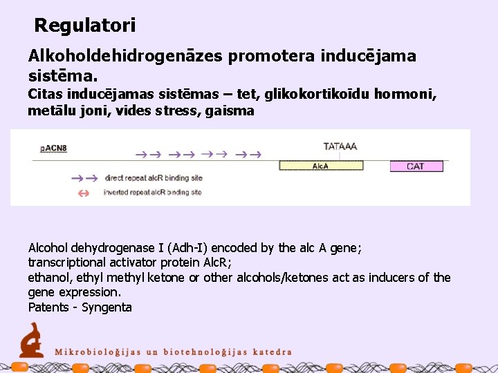 Regulatori Alkoholdehidrogenāzes promotera inducējama sistēma. Citas inducējamas sistēmas – tet, glikokortikoīdu hormoni, metālu joni,