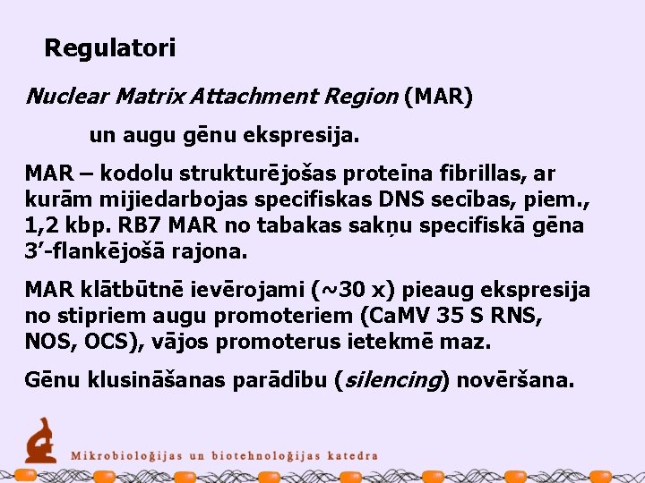 Regulatori Nuclear Matrix Attachment Region (MAR) un augu gēnu ekspresija. MAR – kodolu strukturējošas