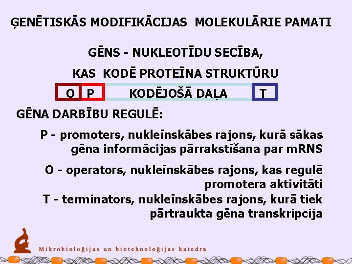 ĢENĒTISKĀS MODIFIKĀCIJAS MOLEKULĀRIE PAMATI GĒNS - NUKLEOTĪDU SECĪBA, KAS KODĒ PROTEĪNA STRUKTŪRU O P