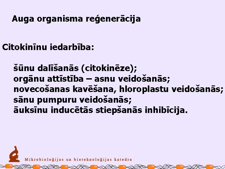 Auga organisma reģenerācija Citokinīnu iedarbība: šūnu dalīšanās (citokinēze); orgānu attīstība – asnu veidošanās; novecošanas