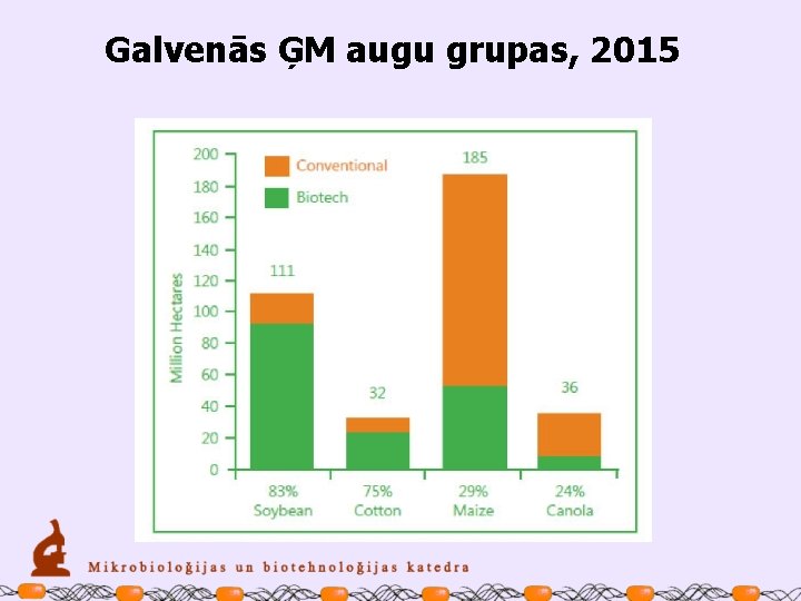 Galvenās ĢM augu grupas, 2015 