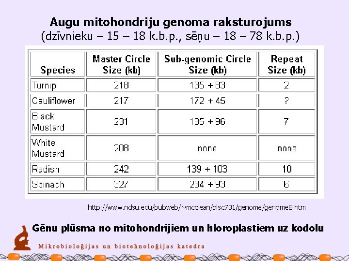 Augu mitohondriju genoma raksturojums (dzīvnieku – 15 – 18 k. b. p. , sēņu