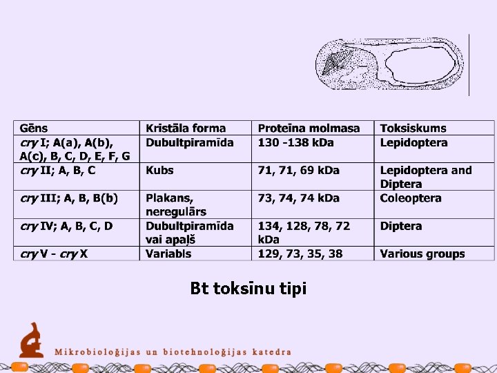 Bt toksīnu tipi 