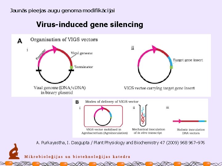 Jaunās pieejas augu genoma modifikācijai Virus-induced gene silencing A. Purkayastha, I. Dasgupta / Plant