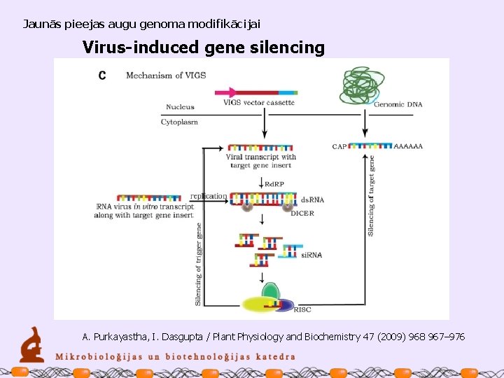 Jaunās pieejas augu genoma modifikācijai Virus-induced gene silencing A. Purkayastha, I. Dasgupta / Plant
