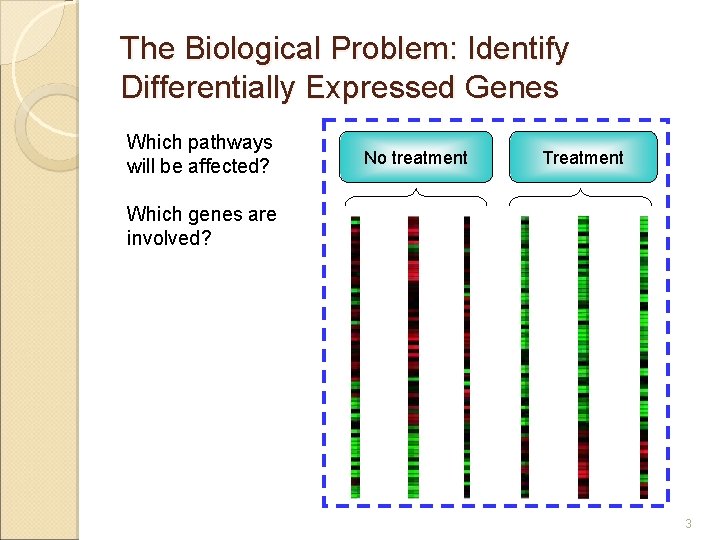 The Biological Problem: Identify Differentially Expressed Genes Which pathways will be affected? No treatment