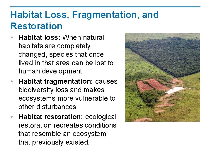 Habitat Loss, Fragmentation, and Restoration • Habitat loss: When natural habitats are completely changed,