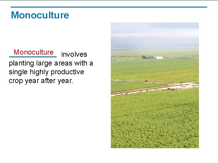 Monoculture involves planting large areas with a single highly productive crop year after year.