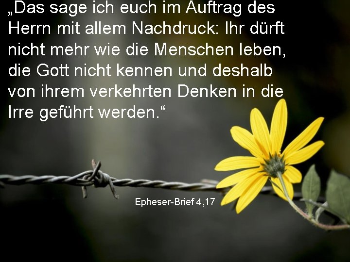 „Das sage ich euch im Auftrag des Herrn mit allem Nachdruck: Ihr dürft nicht