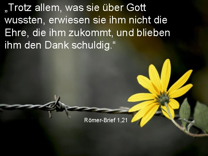 „Trotz allem, was sie über Gott wussten, erwiesen sie ihm nicht die Ehre, die