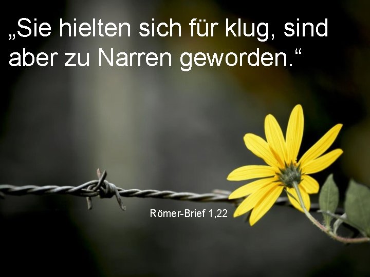 „Sie hielten sich für klug, sind aber zu Narren geworden. “ Römer-Brief 1, 22