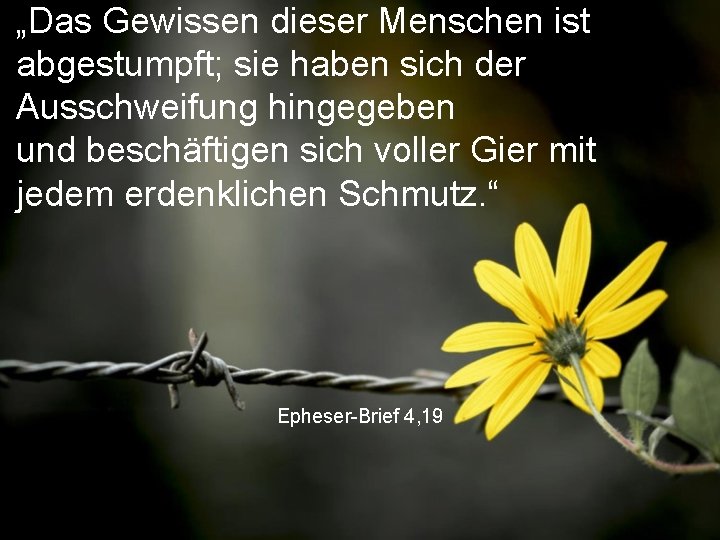 „Das Gewissen dieser Menschen ist abgestumpft; sie haben sich der Ausschweifung hingegeben und beschäftigen