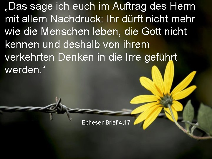 „Das sage ich euch im Auftrag des Herrn mit allem Nachdruck: Ihr dürft nicht