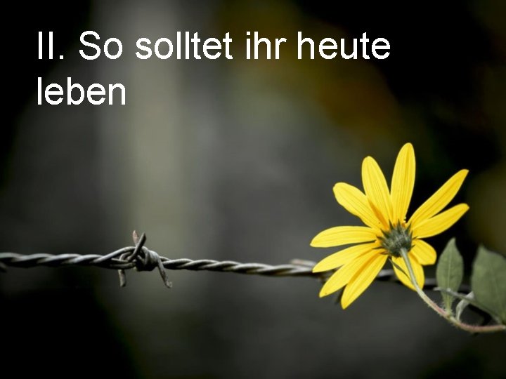 II. So solltet ihr heute leben 