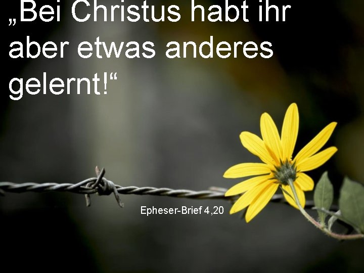 „Bei Christus habt ihr aber etwas anderes gelernt!“ Epheser-Brief 4, 20 