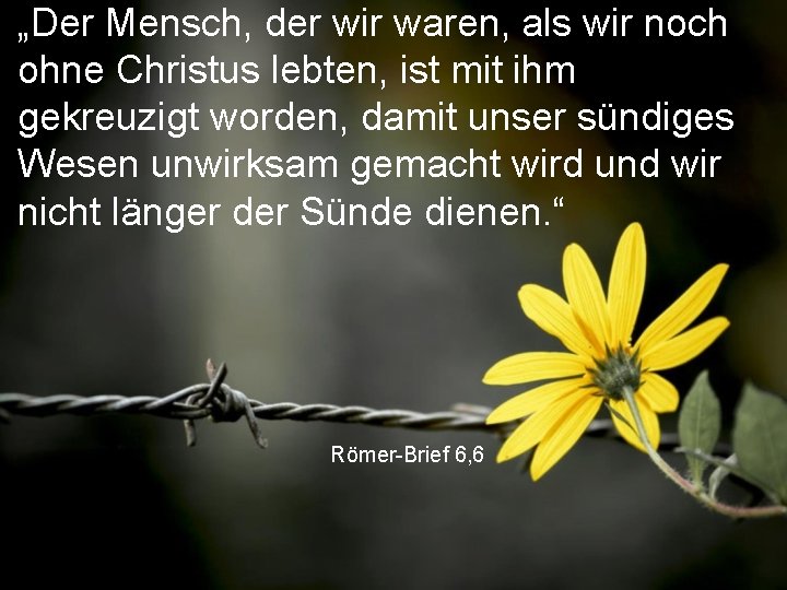 „Der Mensch, der wir waren, als wir noch ohne Christus lebten, ist mit ihm