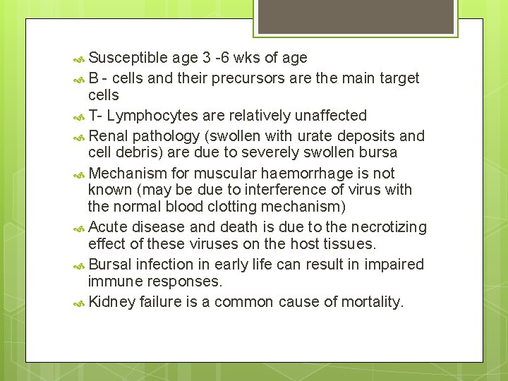  Susceptible age 3 -6 wks of age B - cells and their precursors