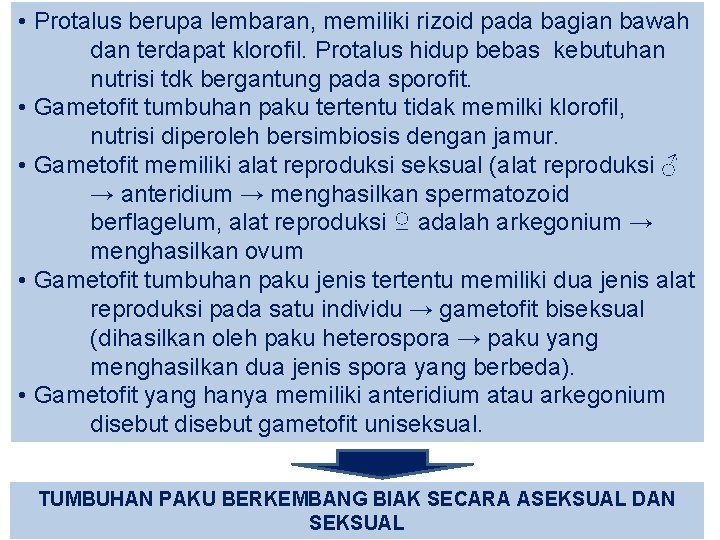  • Protalus berupa lembaran, memiliki rizoid pada bagian bawah dan terdapat klorofil. Protalus