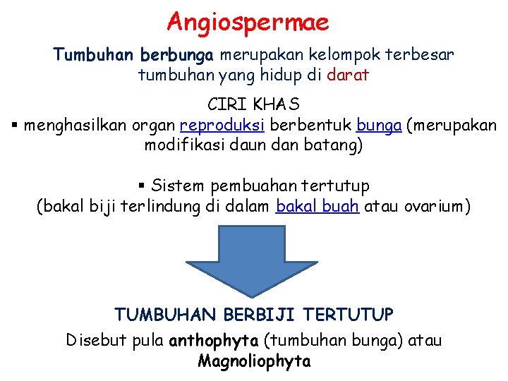 Angiospermae Tumbuhan berbunga merupakan kelompok terbesar tumbuhan yang hidup di darat CIRI KHAS §