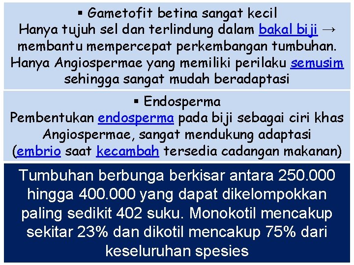 § Gametofit betina sangat kecil Hanya tujuh sel dan terlindung dalam bakal biji →