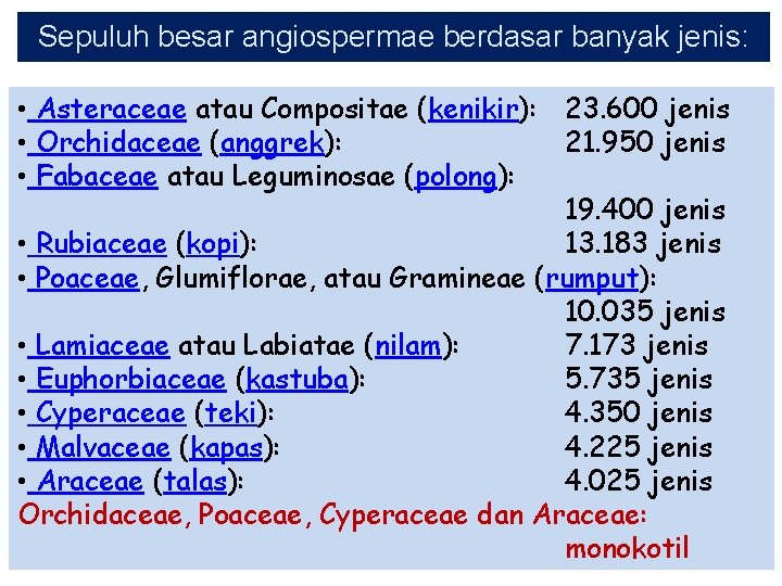 Sepuluh besar angiospermae berdasar banyak jenis: • Asteraceae atau Compositae (kenikir): 23. 600 jenis