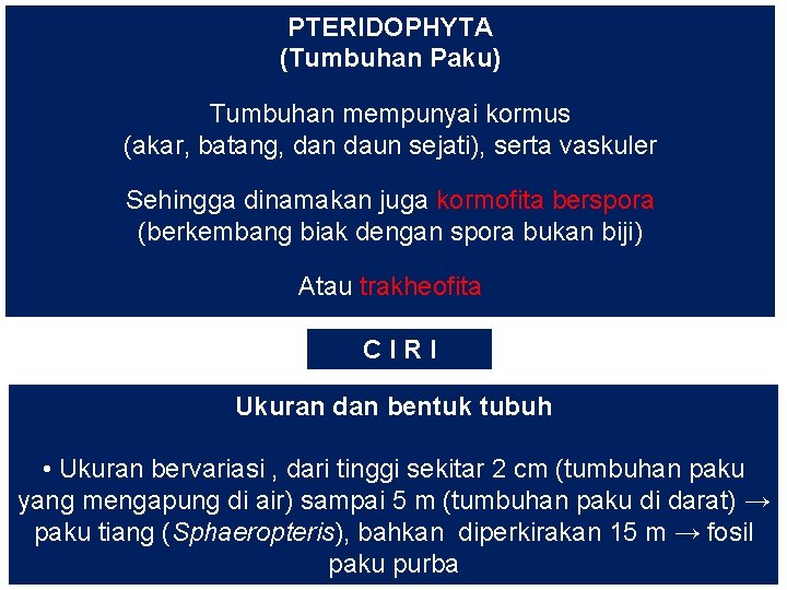 PTERIDOPHYTA (Tumbuhan Paku) Tumbuhan mempunyai kormus (akar, batang, dan daun sejati), serta vaskuler Sehingga